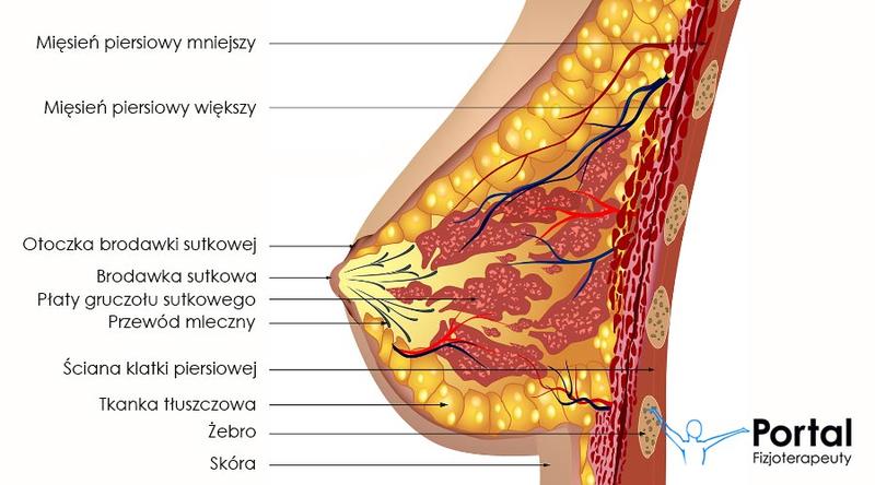 Mleko w piersiach po zakończeniu karmienia