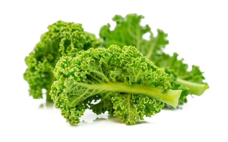 Bezpieczne odżywianie w ciąży: czy jarmuż jest odpowiedni dla przyszłych mam?