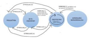 Jak radzić sobie ze spadkiem hormonów po porodzie?