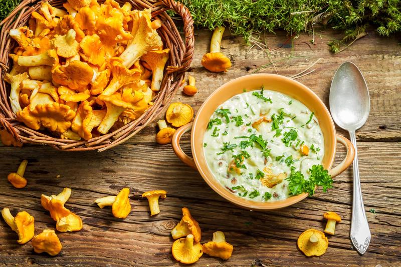 Bezpieczeństwo spożycia grzybów w ciąży