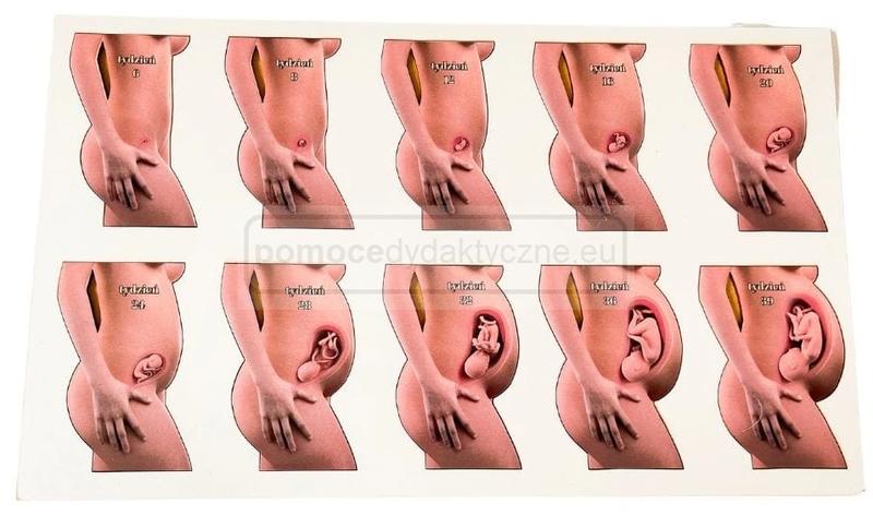 Delikatne przekazanie informacji o ciąży