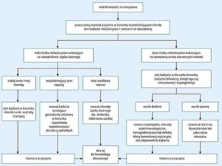 Diagnostyka anemii u noworodków
