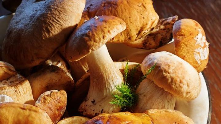 Grzyby dzikie a hodowlane w ciąży