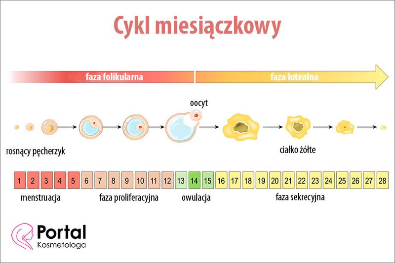 Mity i fakty o zajściu w ciążę