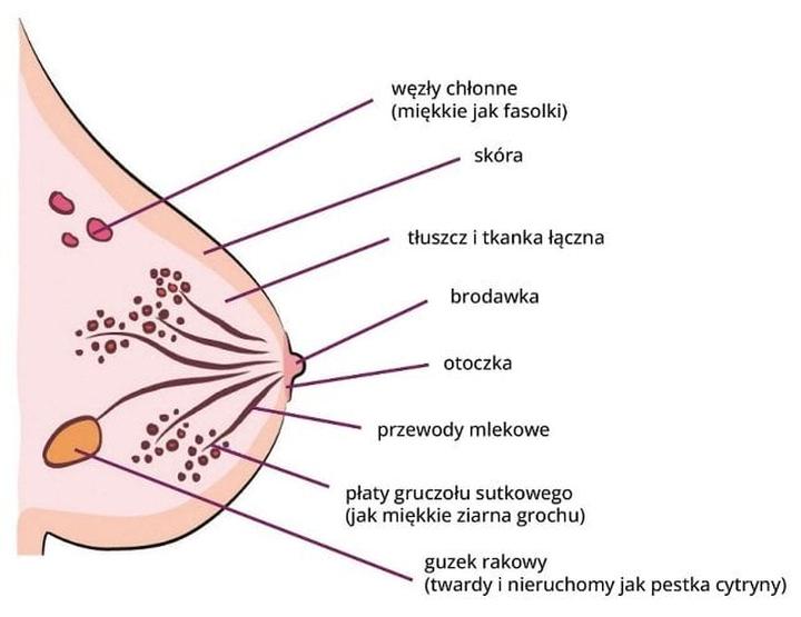 Objawy po laktacji a zdrowie piersi