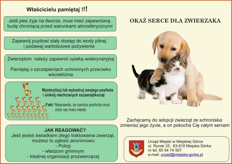 Opieka nad zwierzętami domowymi