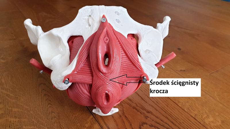 Zmiany hormonalne po porodzie a zapach moczu