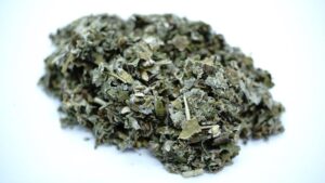 Czy przeziębienie naprawdę może wpłynąć na przyspieszenie porodu?