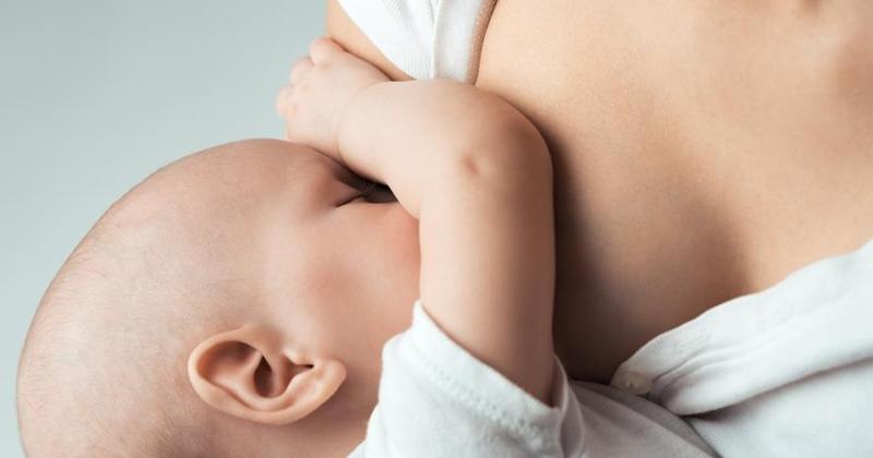 Czynniki wpływające na produkcję mleka