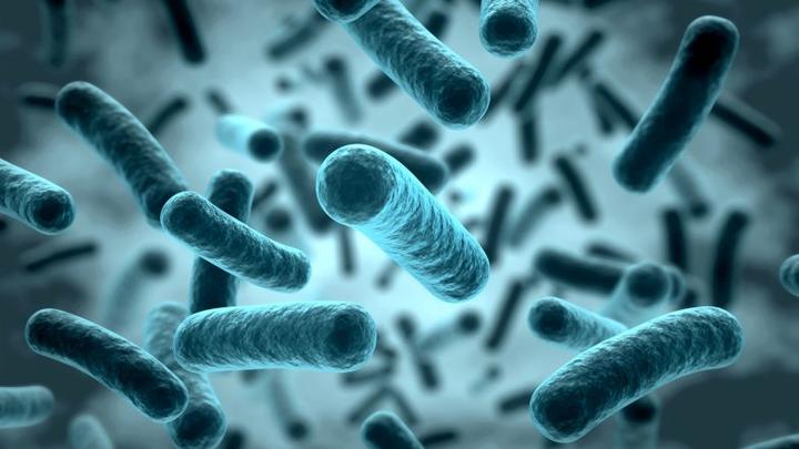 Objawy przedawkowania probiotyków