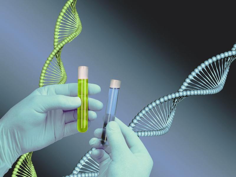 Przebieg badań genetycznych