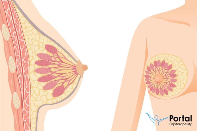 Kiedy można spodziewać się pokarmu po porodzie? Przewodnik dla mam