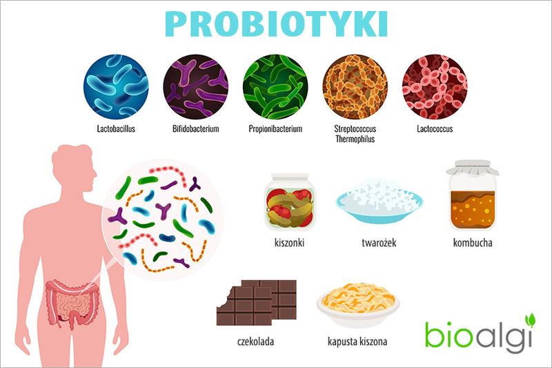 Przedawkowanie probiotyków u dzieci – jakie są objawy i co warto wiedzieć?