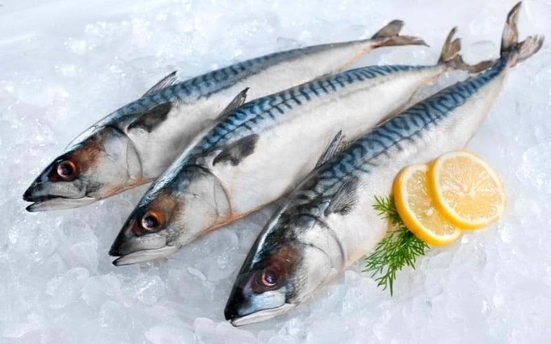 Alternatywy dla surowej ryby w diecie karmiącej