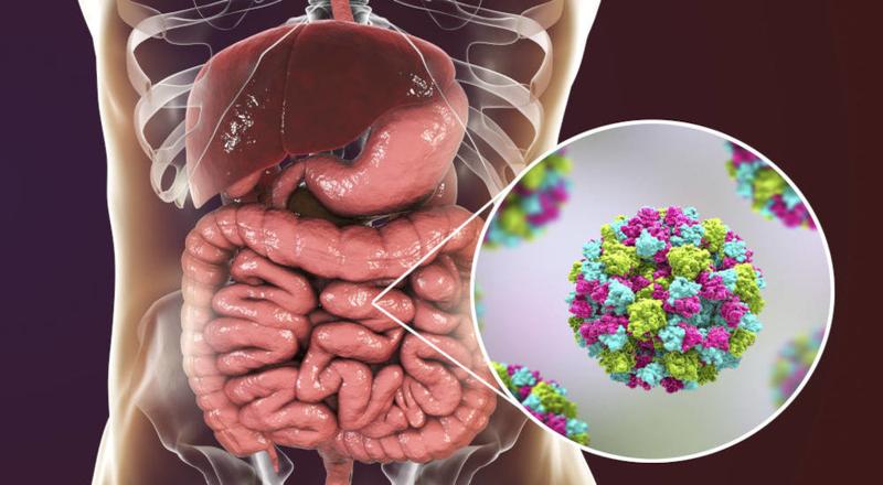 Bezpieczeństwo mleka matki podczas infekcji