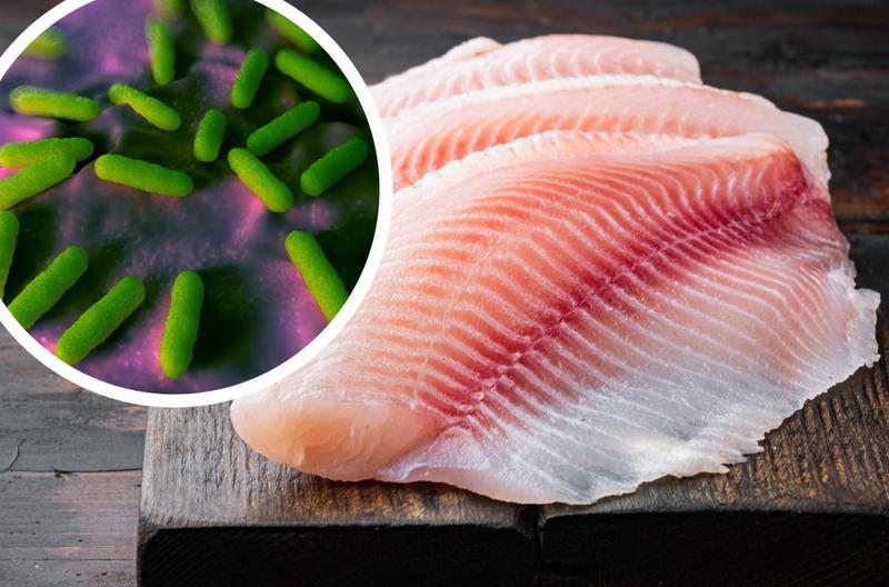 Bezpieczeństwo surowej ryby w laktacji