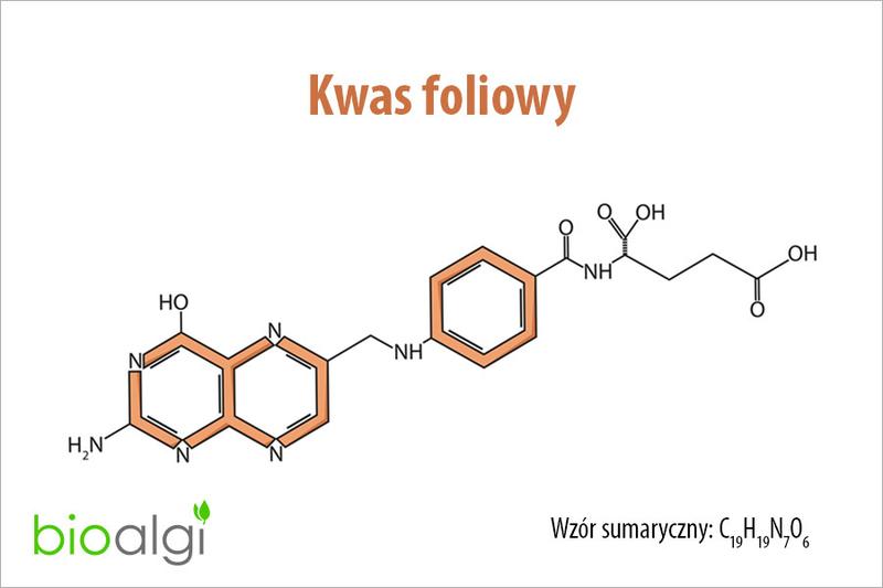 Kwas foliowy przed ciążą