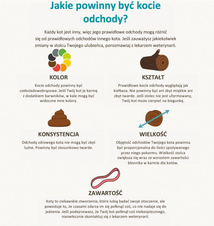 Normy a patologie stolca