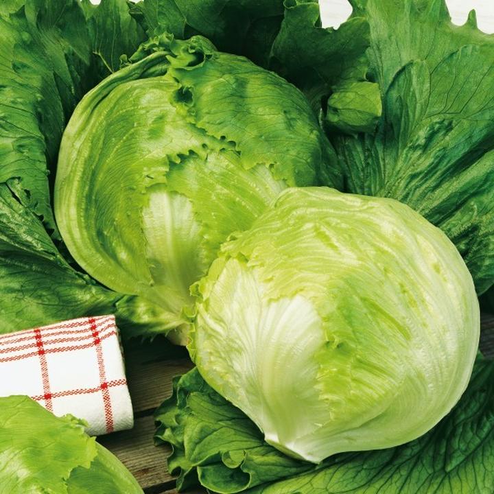 Przepisy z sałatą lodową dla mam