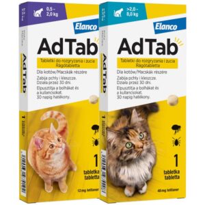 Jak dobrać tabletki antykoncepcyjne dla kotki po porodzie?