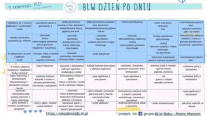 Jak stworzyć idealny jadłospis dla 13-miesięcznego dziecka karmionego piersią?
