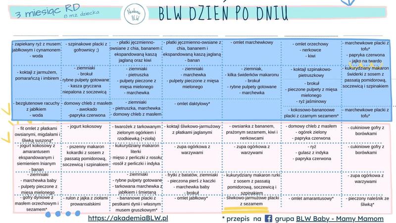 Jak stworzyć idealny jadłospis dla 13-miesięcznego dziecka karmionego piersią?