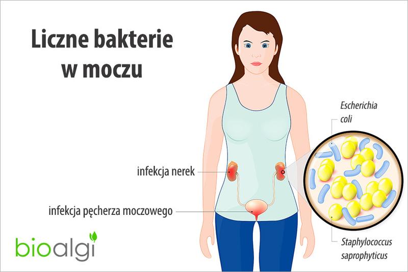 Czy obecność bakterii w moczu może stanowić zagrożenie dla zdrowia dziecka?