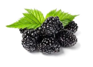 Jeżyny a karmienie piersią – skarbnica zdrowia dla matek i ich dzieci