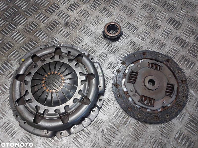 Łożysko po porodzie