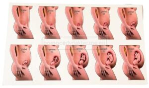 Czy kobietę w ciąży może zaskoczyć okres? Odpowiadamy na ważne pytanie