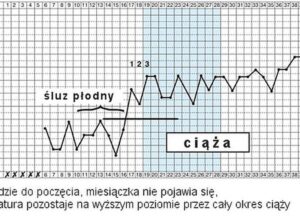 Jak utrzymać prawidłową temperaturę w ciąży dla zdrowia mamy i dziecka?