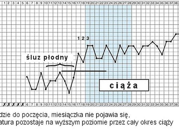 Jak utrzymać prawidłową temperaturę w ciąży dla zdrowia mamy i dziecka?
